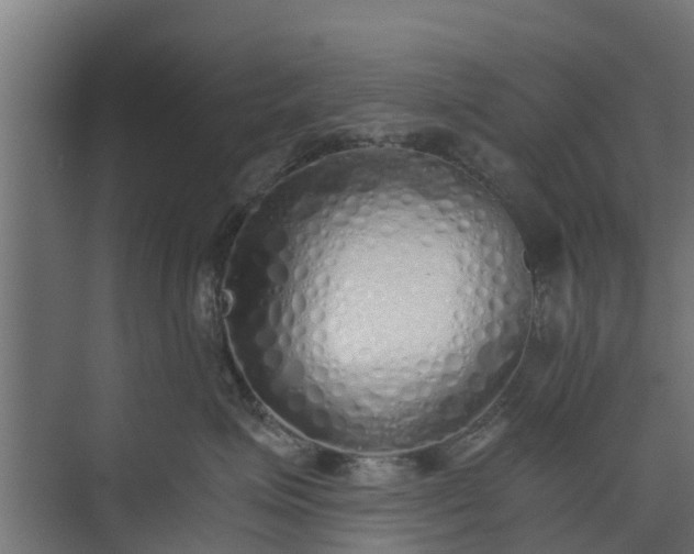 X0000073840623200608171008