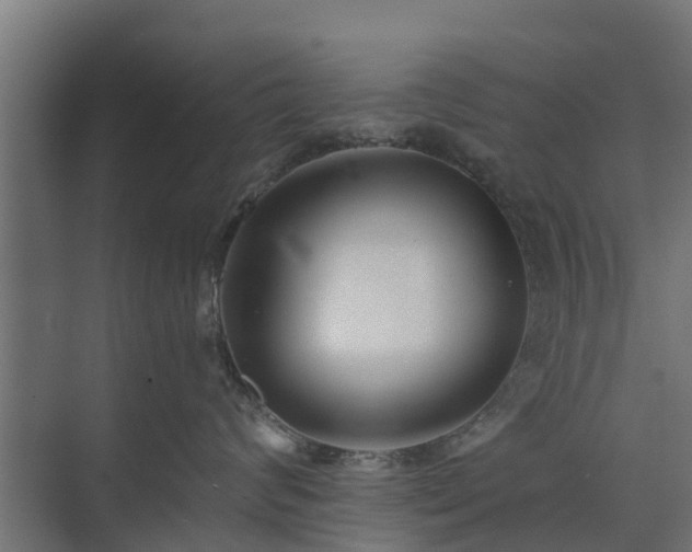 X0000073840624200608171008