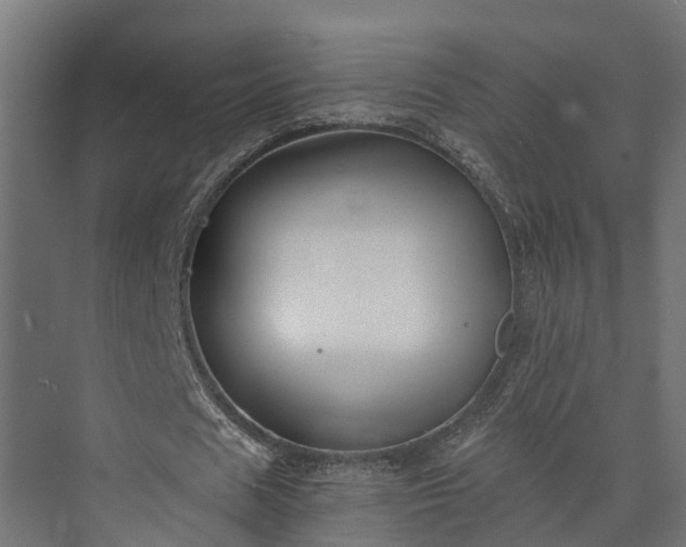 X0000073840625200608171007