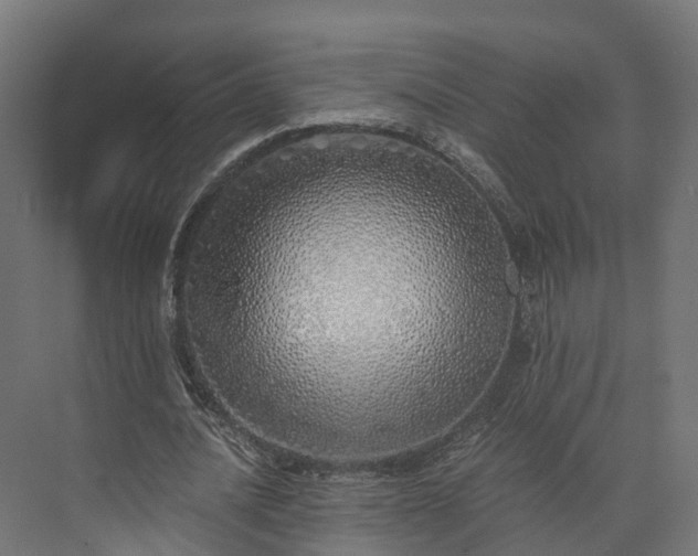 X0000073840628200608171007