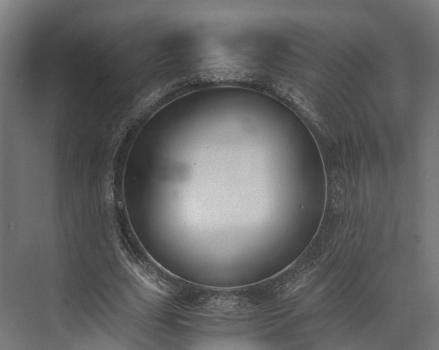 X0000073840631200608171008