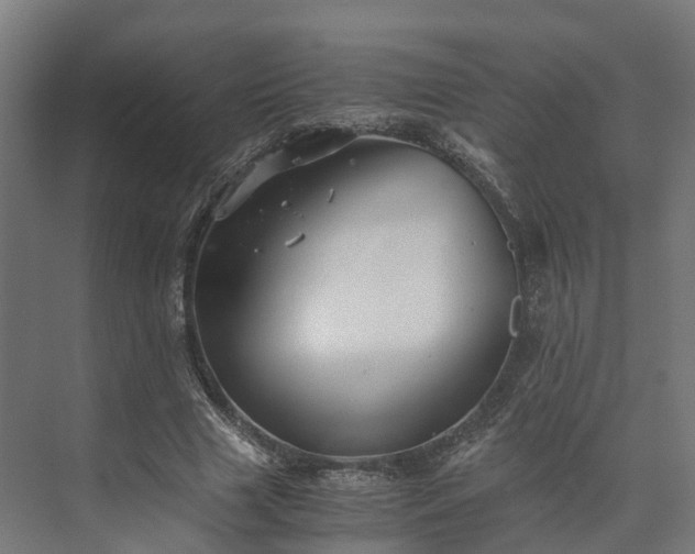 X0000073840633200608171008