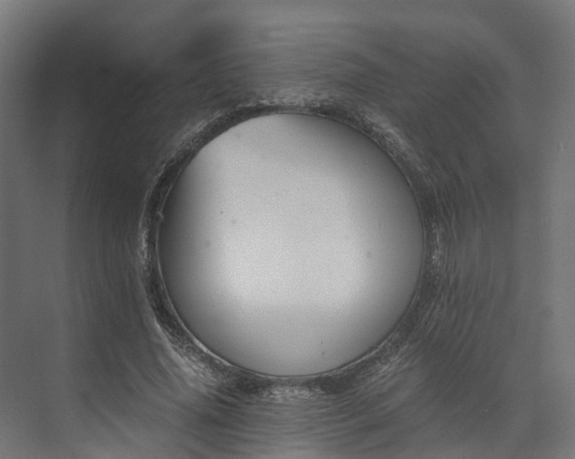 X0000073840636200608171008