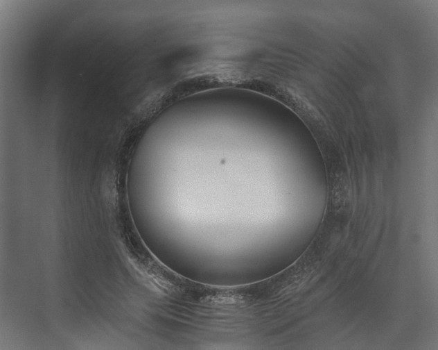 X0000073840639200608171008