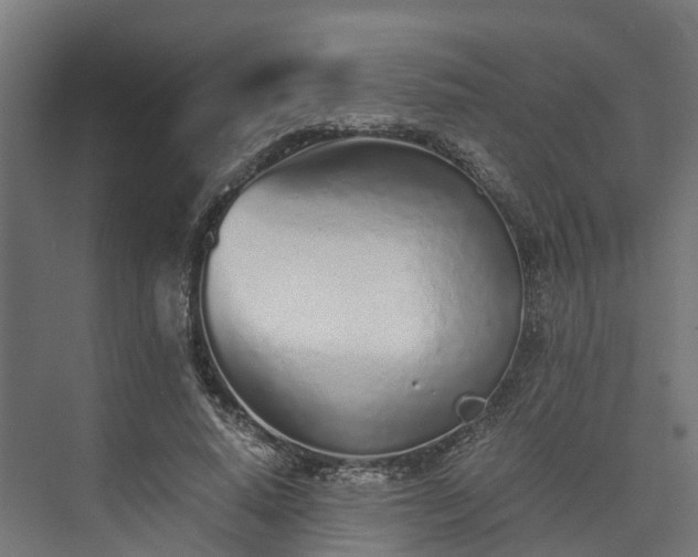 X0000073840640200608171008