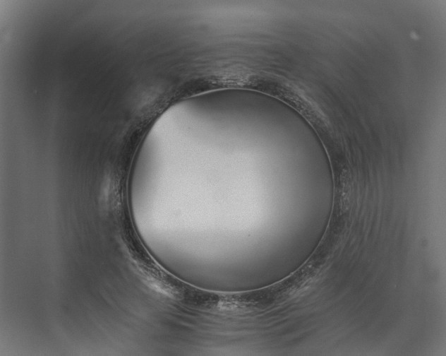 X0000073840641200608171008