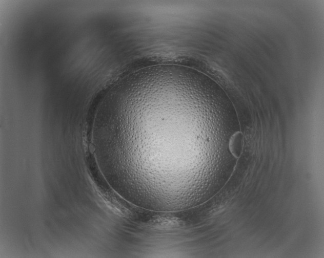 X0000073840642200608171008