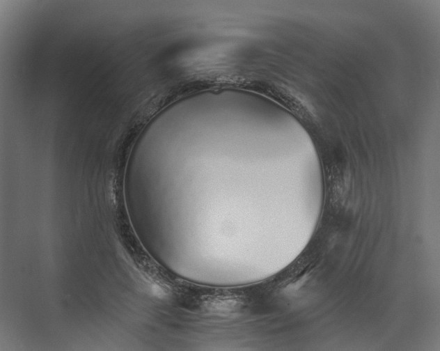 X0000073840643200608171008