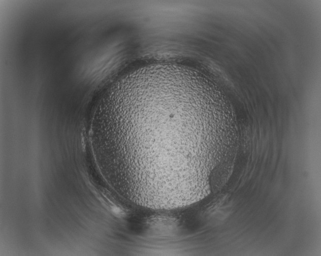 X0000073840644200608171008