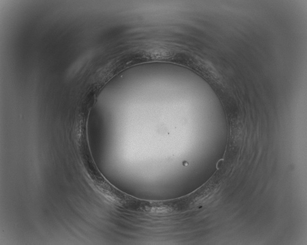 X0000073840645200608171008