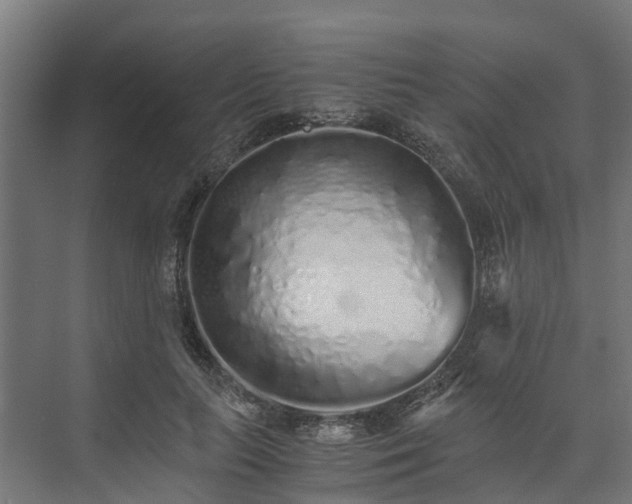 X0000073840647200608171008