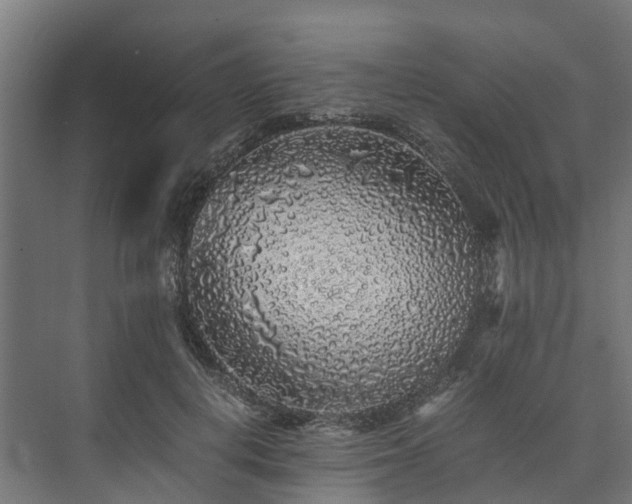 X0000073840648200608171008