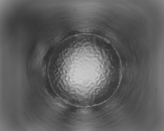 X0000073840652200608171008