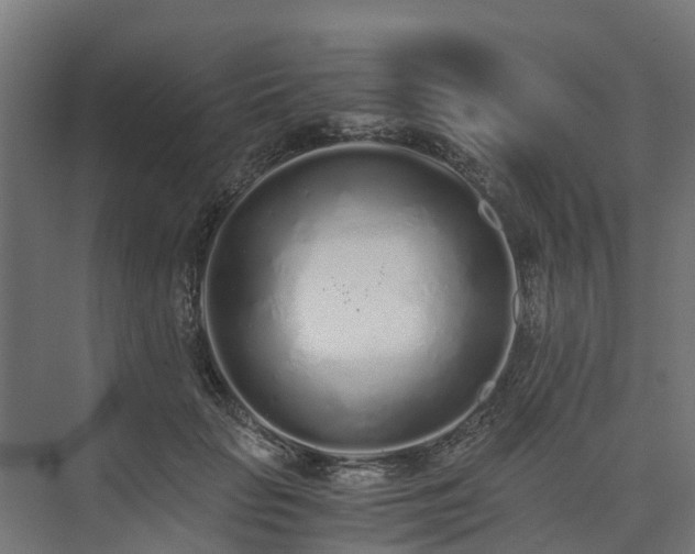 X0000073840653200608171008