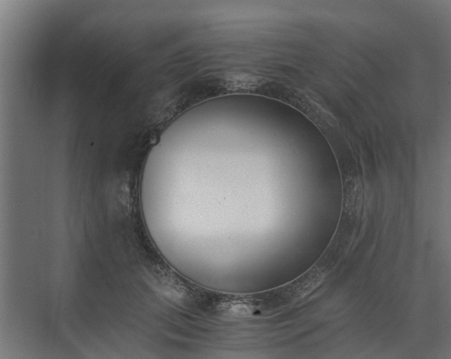 X0000073840655200608171008