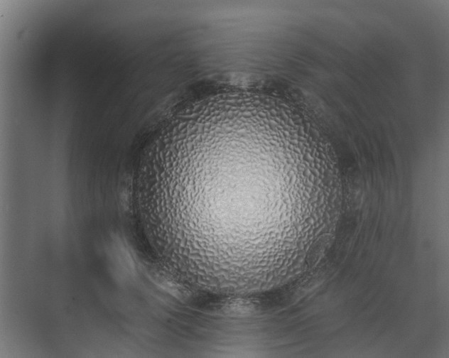 X0000073840656200608171008