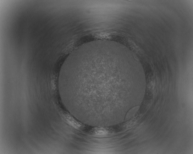 X0000073840658200608171008