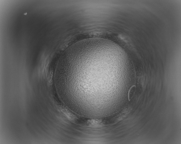 X0000073840660200608171008