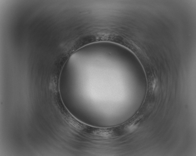 X0000073840661200608171008