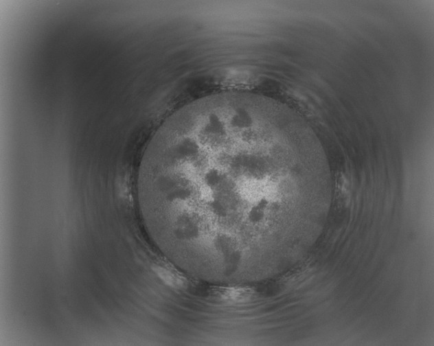 X0000073840663200608171008