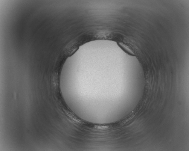 X0000073840665200608171008