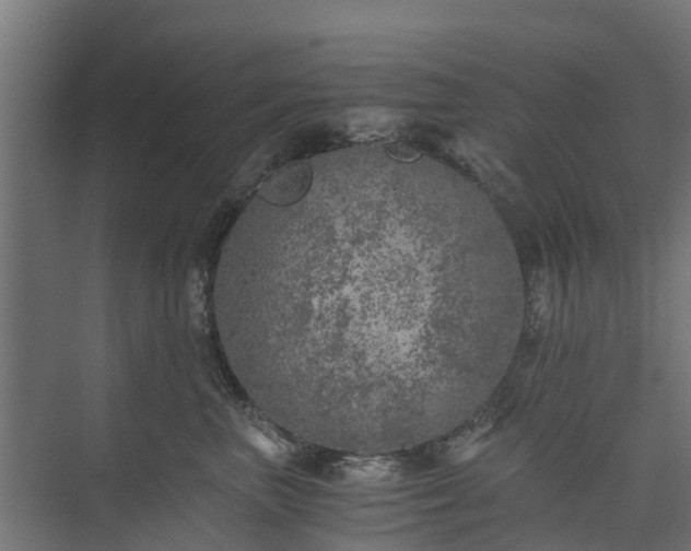 X0000073840667200608171008