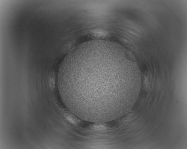 X0000073840668200608171008