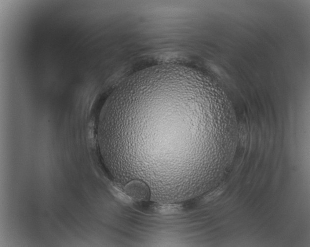 X0000073840670200608171008