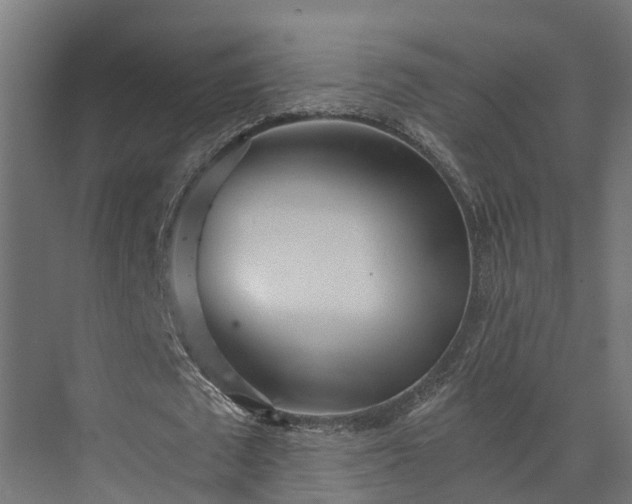 X0000073840673200608171007