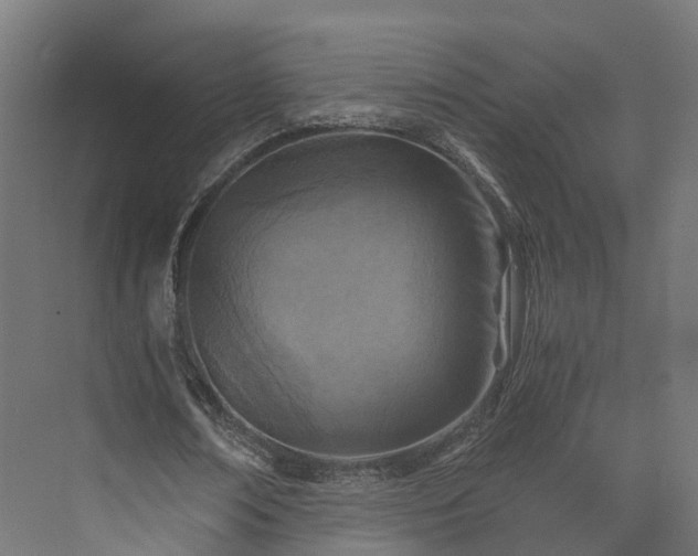 X0000073840674200608171007