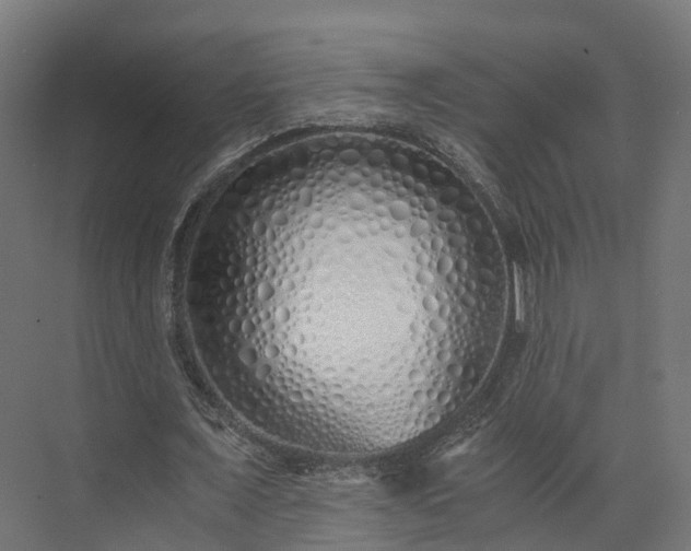 X0000073840675200608171007