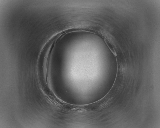 X0000073840676200608171007