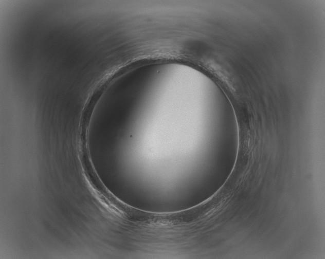 X0000073840677200608171007