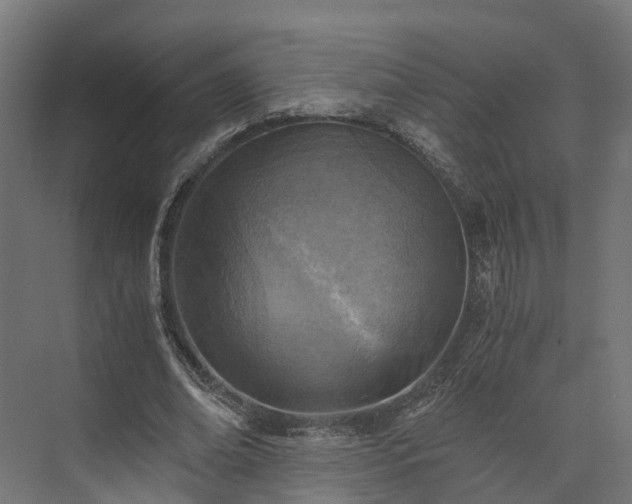 X0000073840678200608171007