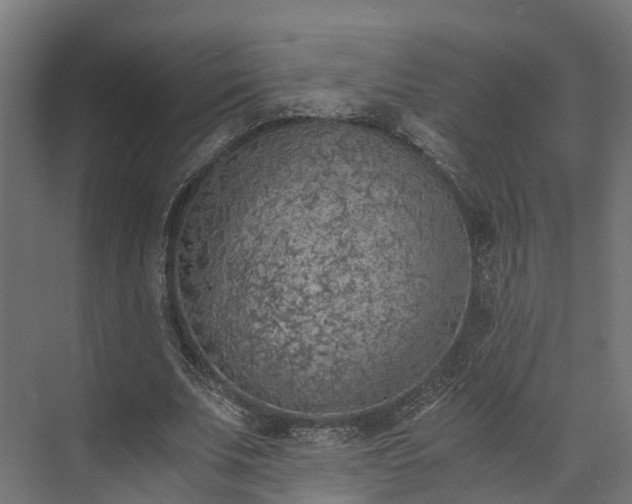 X0000073840679200608171007