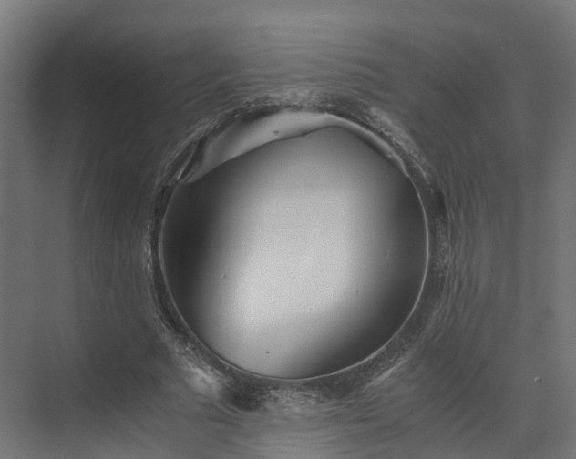 X0000073840681200608171007