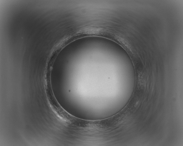 X0000073840682200608171007