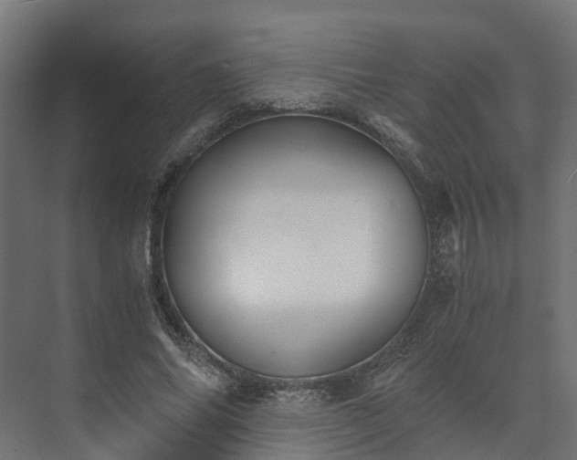 X0000073840686200608171007