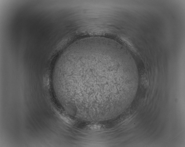 X0000073840687200608171007