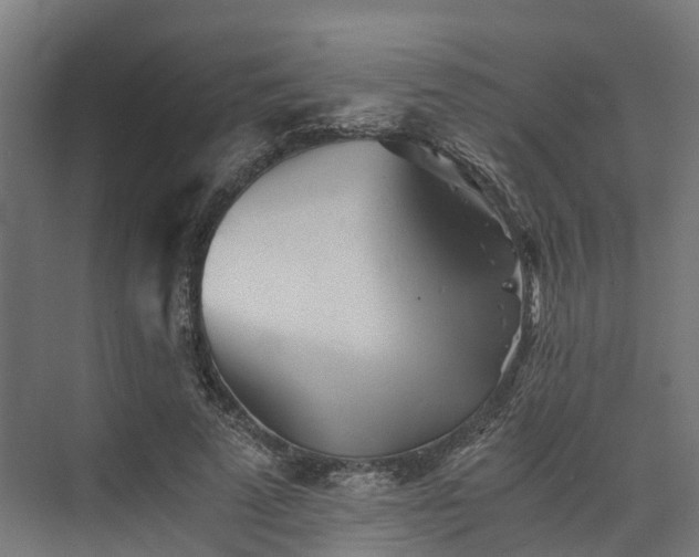 X0000073840689200608171007