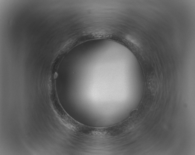 X0000073840690200608171007