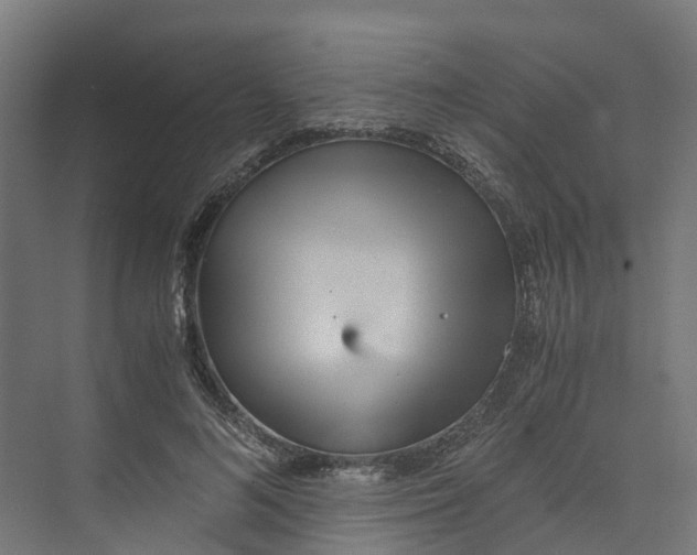 X0000073840692200608171007