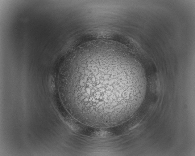 X0000073840695200608171007