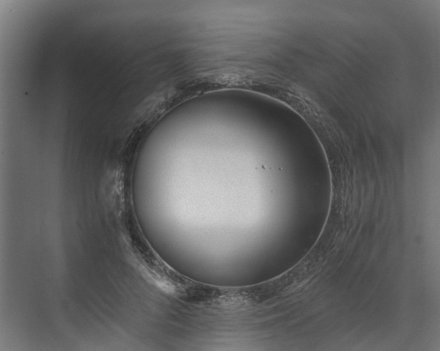 X0000073840696200608171007