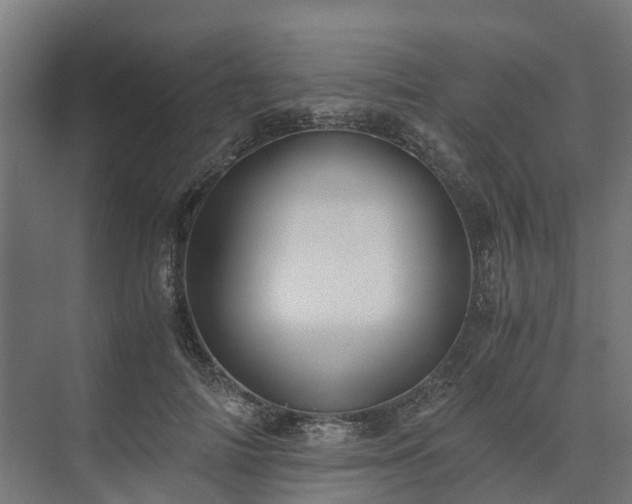 X0000073840698200608171007