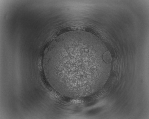 X0000073840699200608171007