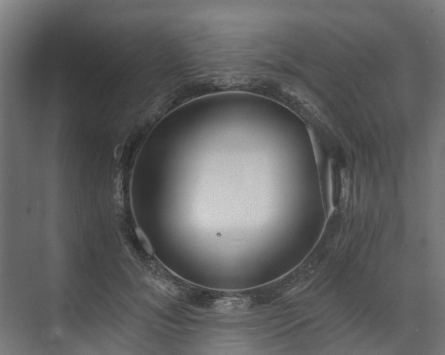 X0000073840700200608171007