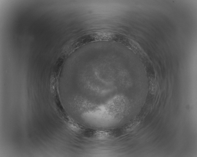 X0000073840701200608171007