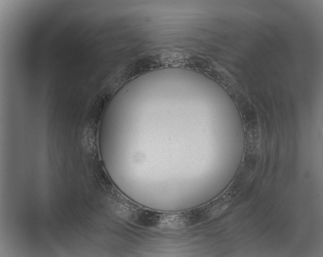 X0000073840705200608171007