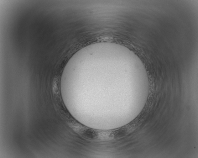 X0000073840709200608171007